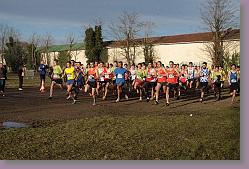 Begles 15.12.13 01 1006 * 679 x 453 * (156KB)